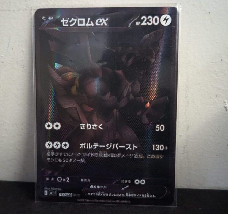 cropped WhatsApp Image 2025 10 28 at 15 42 07 jpeg